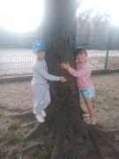 większy obrazek nr 6