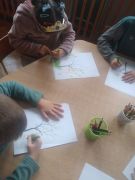 większy obrazek nr 17