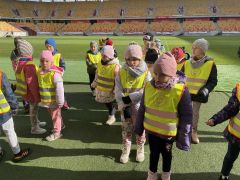 większy obrazek nr 26