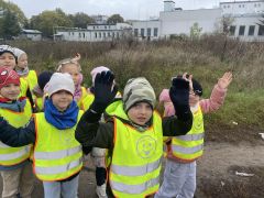 większy obrazek nr 9