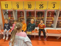 większy obrazek nr 43