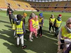 większy obrazek nr 84