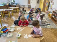 większy obrazek nr 10