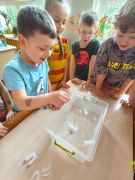 większy obrazek nr 13