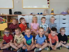 większy obrazek nr 2