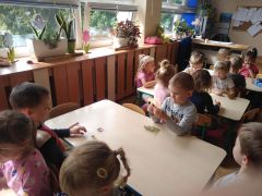 większy obrazek nr 10