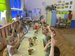 większy obrazek nr 6