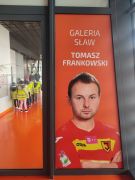 większy obrazek nr 11