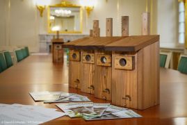 większy obrazek nr 2