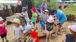 większy obrazek nr 4