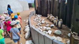 większy obrazek nr 19