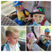 większy obrazek nr 21