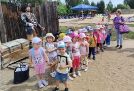 większy obrazek nr 22