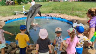 większy obrazek nr 23