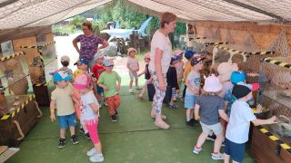 większy obrazek nr 26