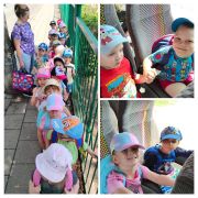 większy obrazek nr 51