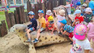 większy obrazek nr 47