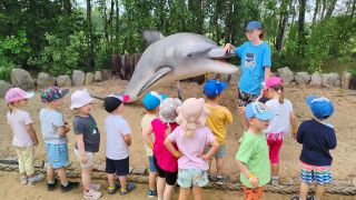 większy obrazek nr 50