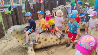 większy obrazek nr 60