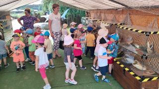 większy obrazek nr 65