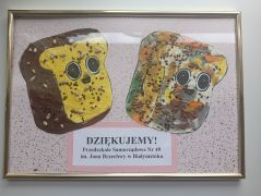 większy obrazek nr 2