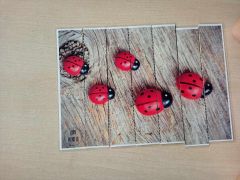 większy obrazek nr 53