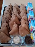 większy obrazek nr 115