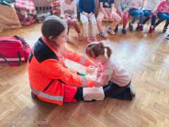 większy obrazek nr 28