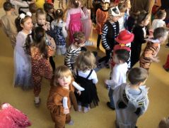 większy obrazek nr 40