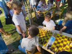 większy obrazek nr 8