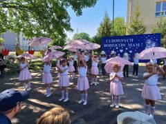 większy obrazek nr 43