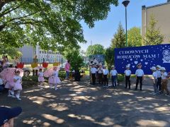 większy obrazek nr 66