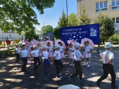 większy obrazek nr 69