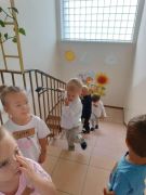 większy obrazek nr 21