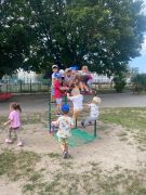 większy obrazek nr 19