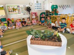 większy obrazek nr 3