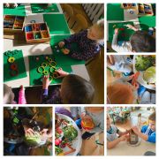 większy obrazek nr 11