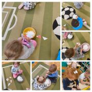 większy obrazek nr 5