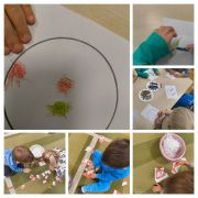 większy obrazek nr 6