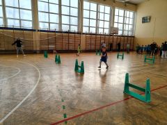 większy obrazek nr 43