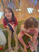 większy obrazek nr 32