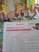 większy obrazek nr 3