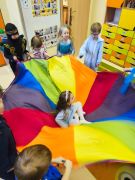 większy obrazek nr 11