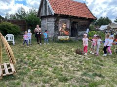 większy obrazek nr 47