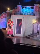 większy obrazek nr 6